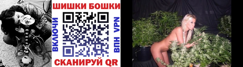 купить наркотик  Шелехов  Конопля ГИДРОПОН 